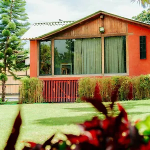 mckays-quinta.hotelsquito.com/